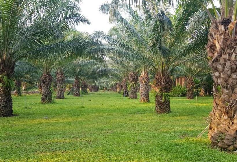 اتاق استاندارد با تخت بزرگ, Palm Pran Resort