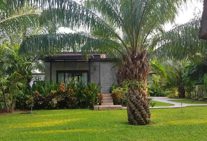 اتاق استاندارد, Palm Pran Resort
