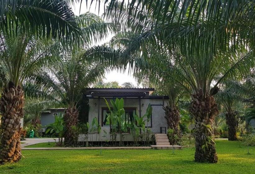 اتاق استاندارد چهار تخته, Palm Pran Resort