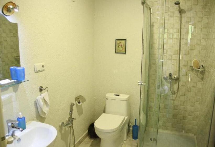اتاق اکونومی, Lermont Guest House