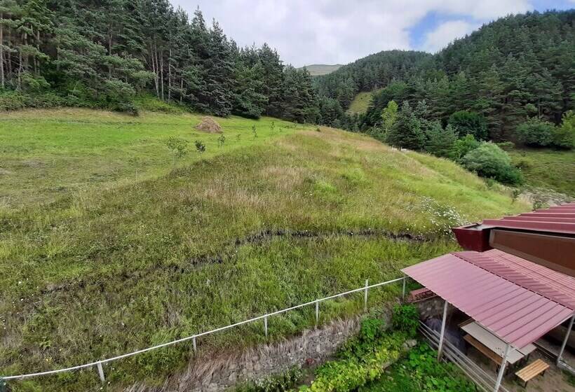 اتاق اکونومی, Lermont Guest House
