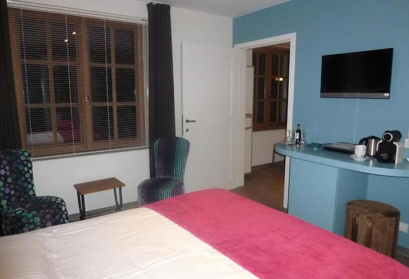 اتاق استاندارد برای معلولان, B&b 't Hof Van Spiere