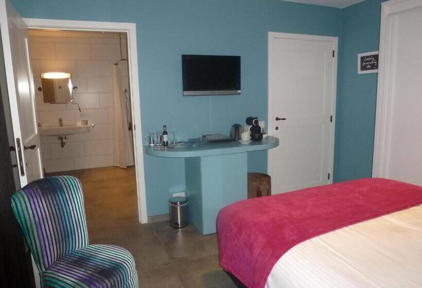 اتاق استاندارد برای معلولان, B&b 't Hof Van Spiere