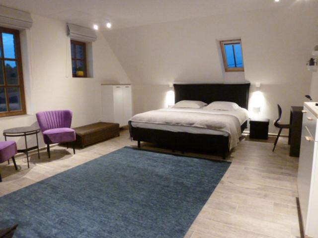 استودیو استاندارد با تخت کینگ, B&b 't Hof Van Spiere