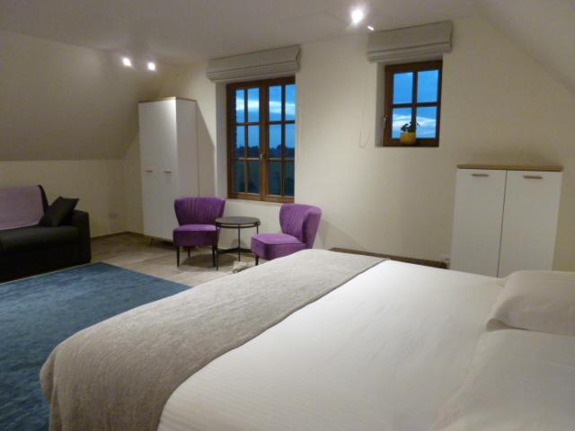 استودیو استاندارد با تخت کینگ, B&b 't Hof Van Spiere