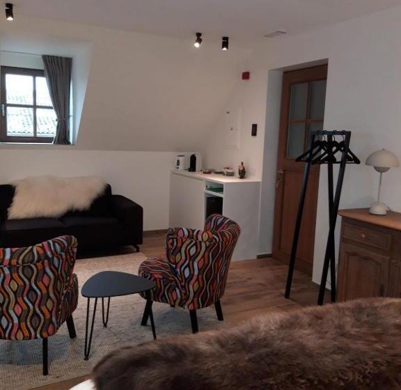 اتاق لوکس چهار تخته, B&b 't Hof Van Spiere