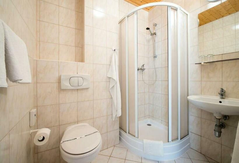 اتاق استاندارد, Horský Hotel Podjavorník