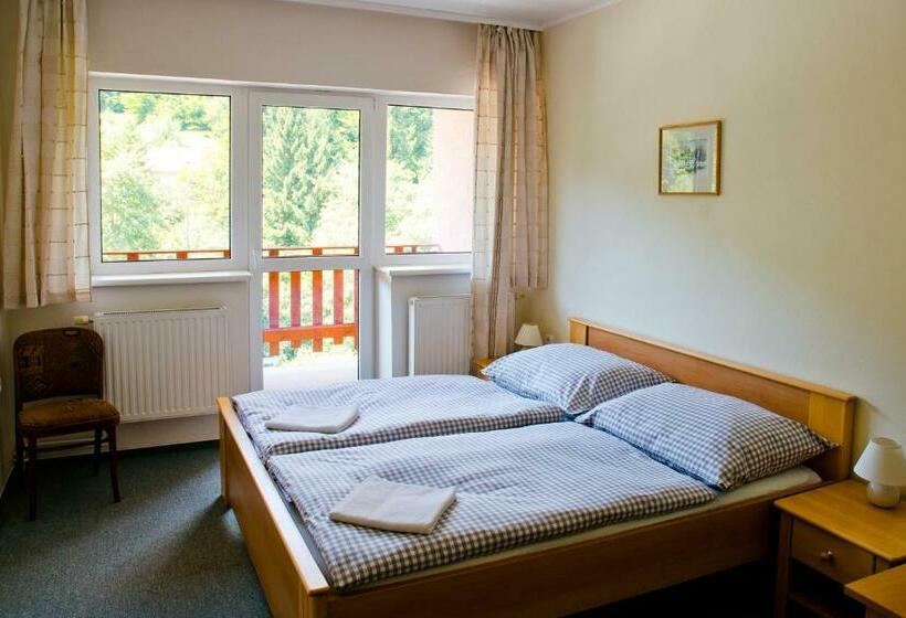 اتاق استاندارد, Horský Hotel Podjavorník