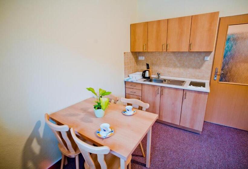 آپارتمان 1 خوابه, Horský Hotel Podjavorník