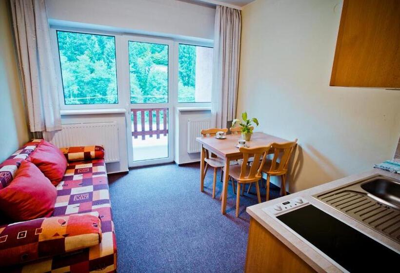 آپارتمان 1 خوابه, Horský Hotel Podjavorník