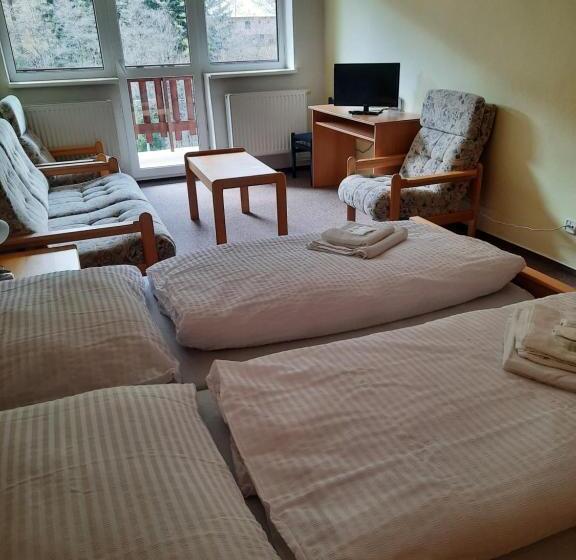 آپارتمان 1 خوابه, Horský Hotel Podjavorník