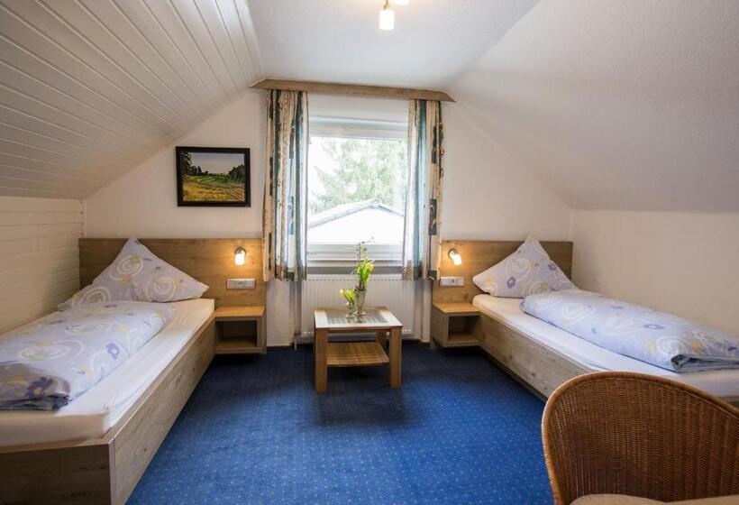 اتاق استاندارد, Pension Waldblick Garni