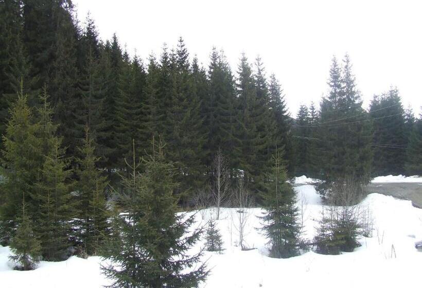 اتاق استاندارد سه تخته با بالکن, Complex Transalpina Lac