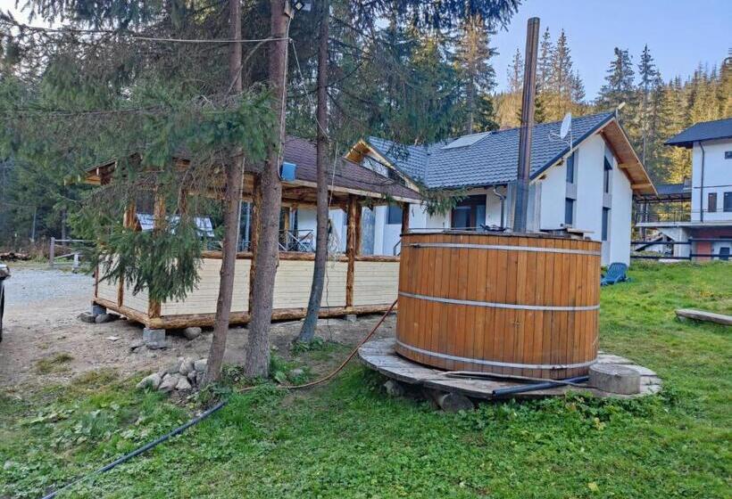ویلای سوپریور 1 خوابه, Complex Transalpina Lac