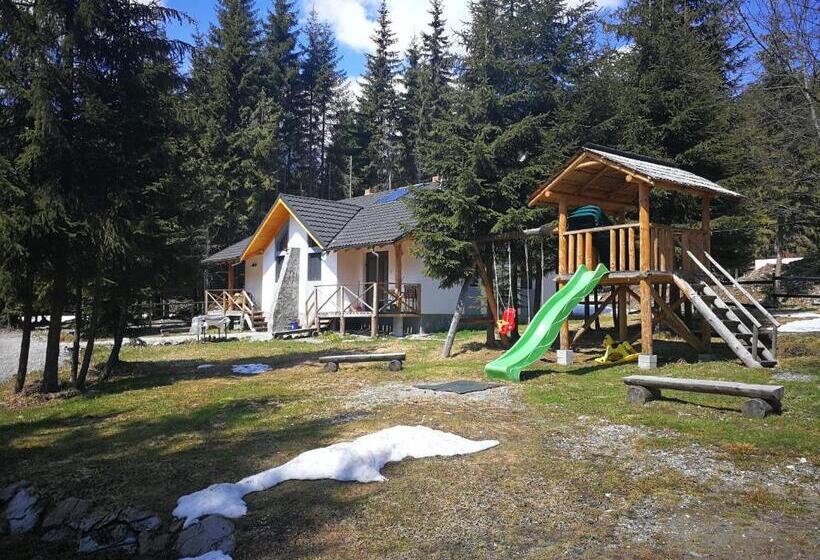 ویلای سوپریور 1 خوابه, Complex Transalpina Lac