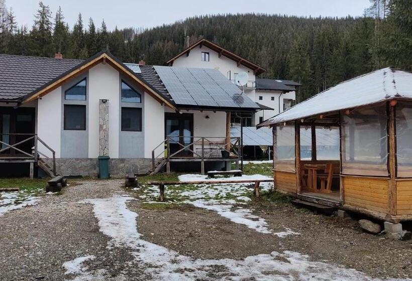 ویلای سوپریور 1 خوابه, Complex Transalpina Lac