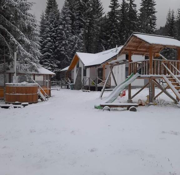 ویلای سوپریور 1 خوابه, Complex Transalpina Lac