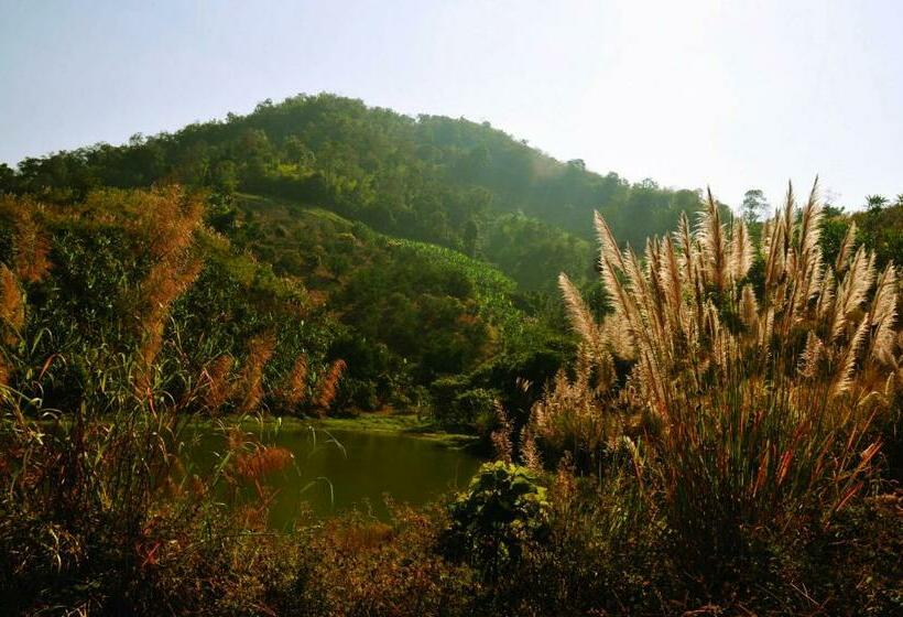 سوییت خانوادگی, Mekong Villas