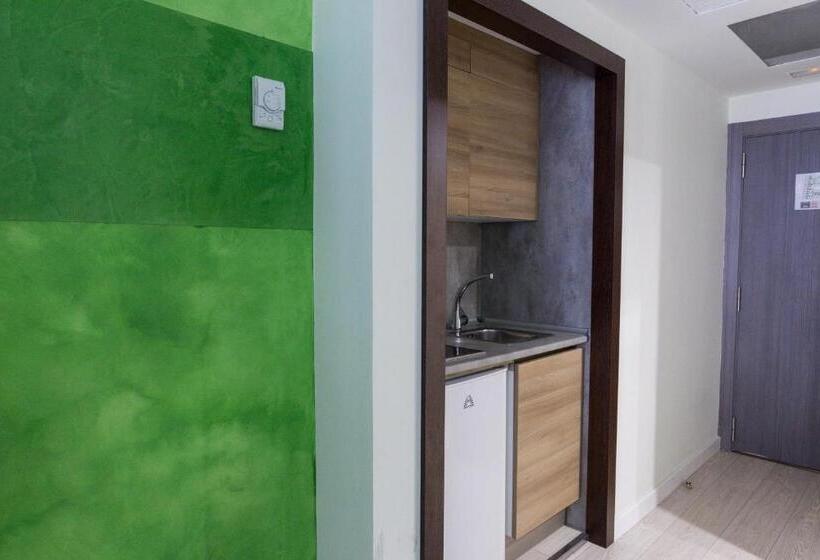 اتاق استاندارد, Apartamentos Recoletos