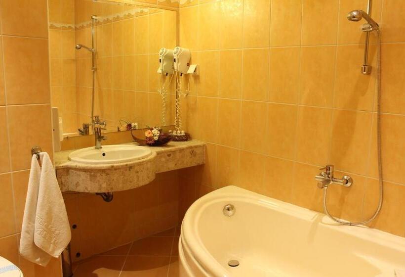اتاق استاندارد, Business Hotel Premier