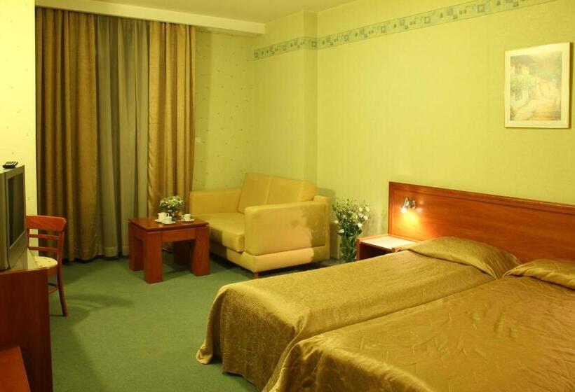 اتاق استاندارد یک نفره, Business Hotel Premier