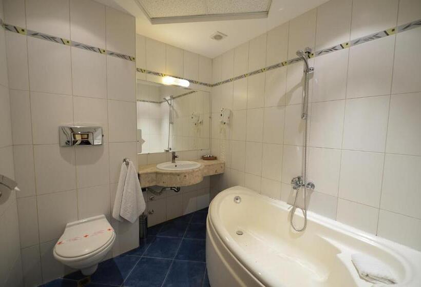 اتاق استاندارد یک نفره, Business Hotel Premier