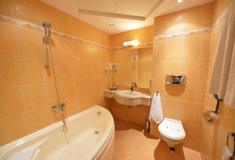 اتاق استاندارد یک نفره, Business Hotel Premier