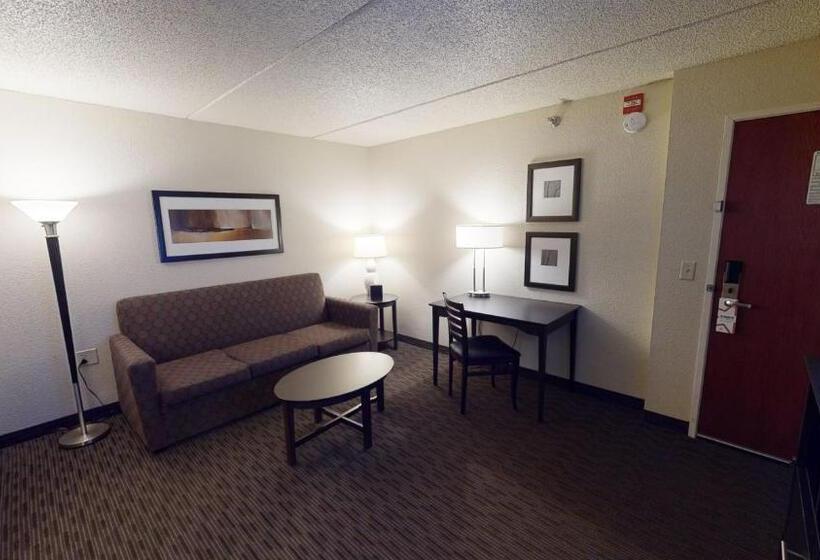 Deluxe Suite King Bed, Americinn By Wyndham Mounds View Minneapolis