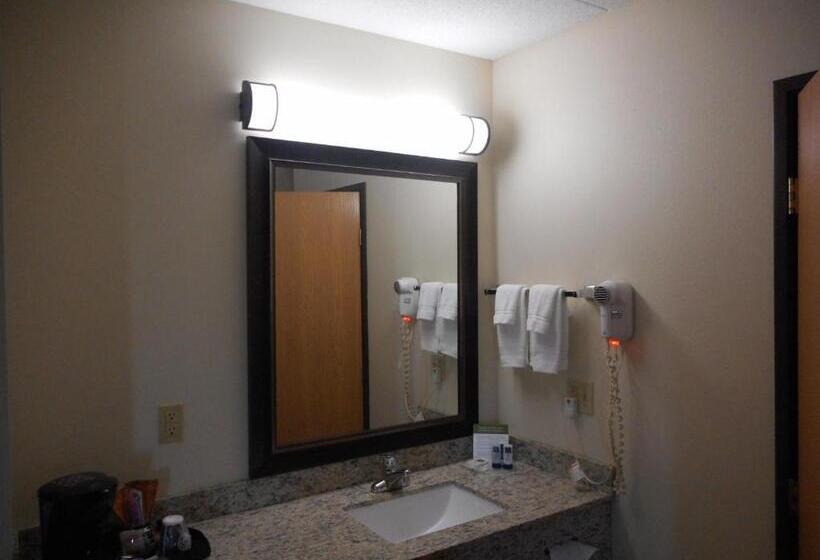 اتاق استاندارد برای معلولان, Americinn By Wyndham Princeton Mn