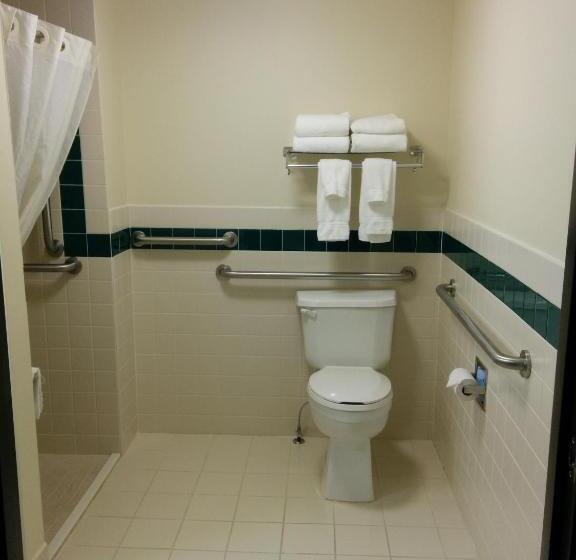 اتاق استاندارد با تخت بزرگ برای معلولان, Americinn By Wyndham Princeton Mn