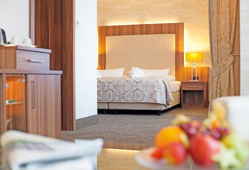 اتاق کلاس بیزنس, Best Western Plus Hotel Böttcherhof