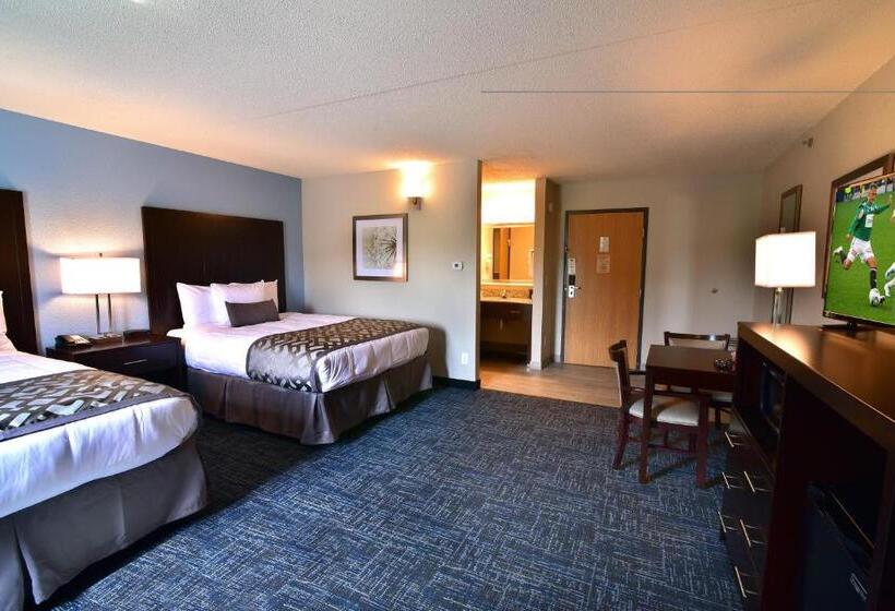 StandaardKamer, Best Western Plus Flint Airport Inn & Suites