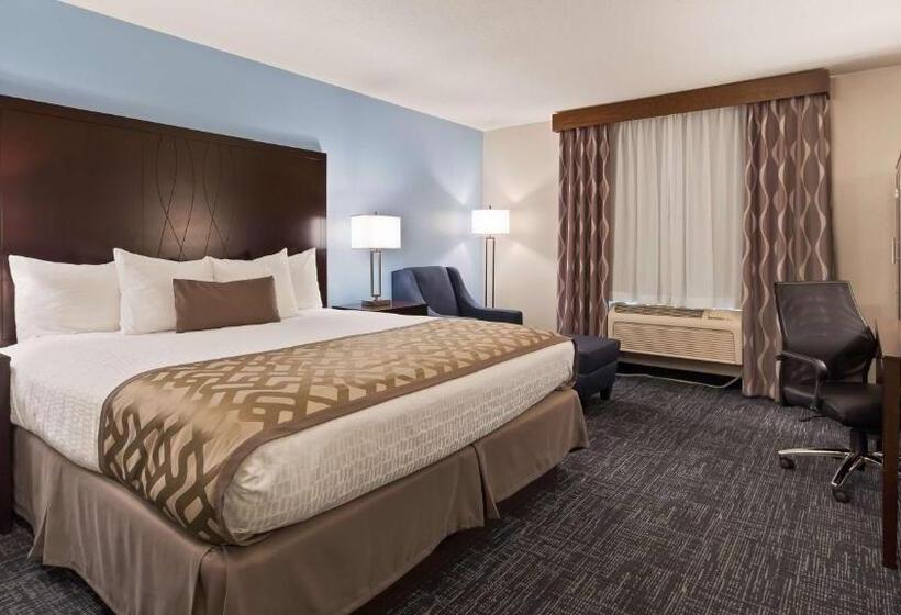 Standard Room King Size Bed, Best Western Plus Flint Airport Inn & Suites