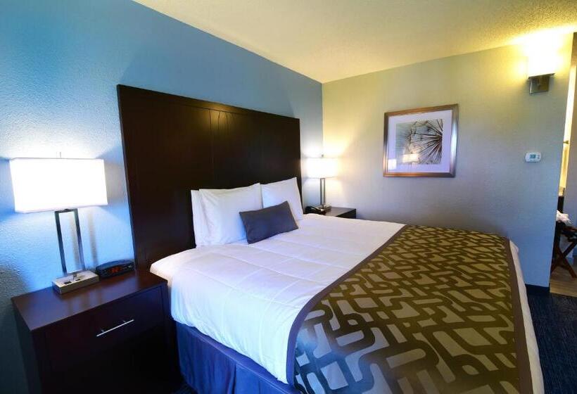 Standard Room Adapted for people with reduced mobility, Best Western Plus Flint Airport Inn & Suites