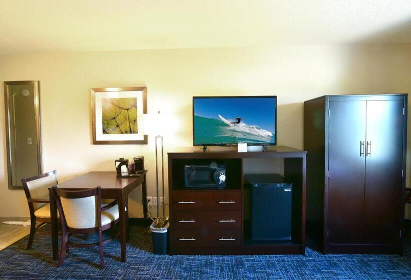 Standard Room Adapted for people with reduced mobility, Best Western Plus Flint Airport Inn & Suites