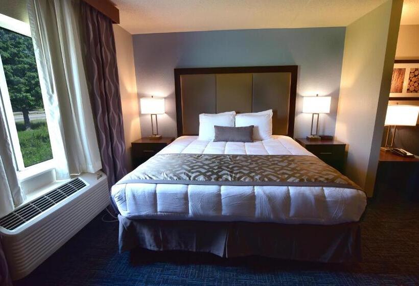 Suite met Kingsize Bed, Best Western Plus Flint Airport Inn & Suites