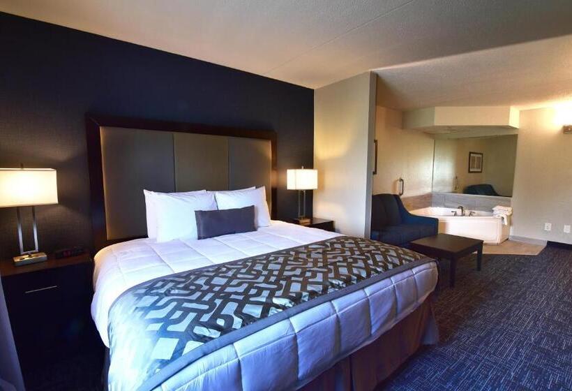 Suite met Kingsize Bed, Best Western Plus Flint Airport Inn & Suites