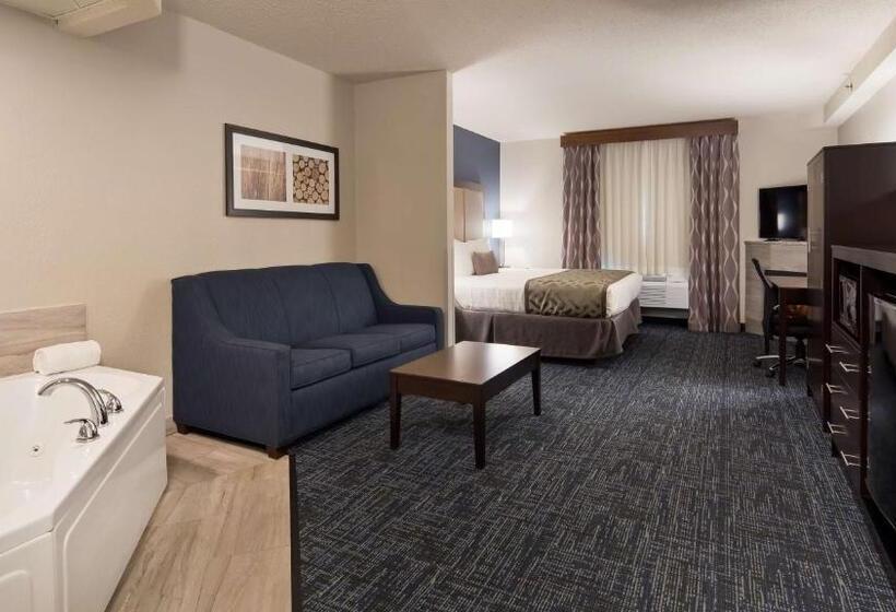 Suite met Kingsize Bed, Best Western Plus Flint Airport Inn & Suites