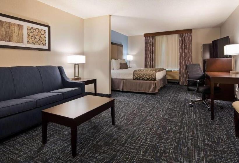 Suite met Kingsize Bed, Best Western Plus Flint Airport Inn & Suites