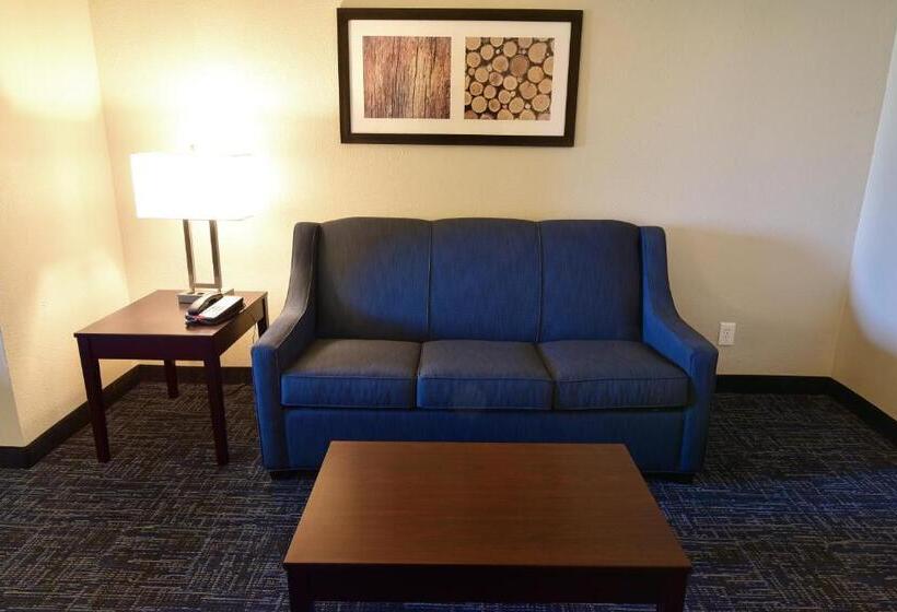 Suite, Best Western Plus Flint Airport Inn & Suites