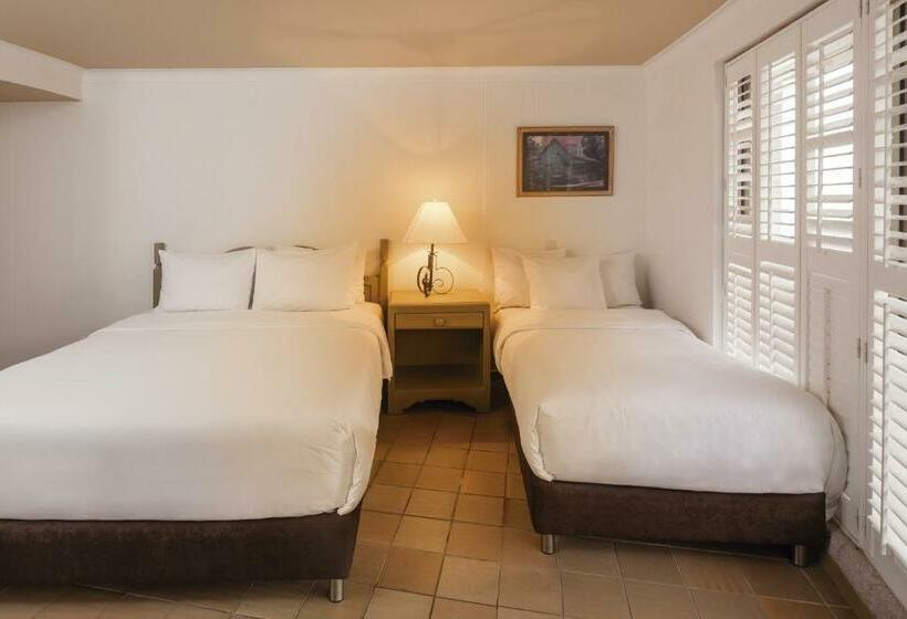 اتاق استاندارد, Decameron Aquarium   All Inclusive