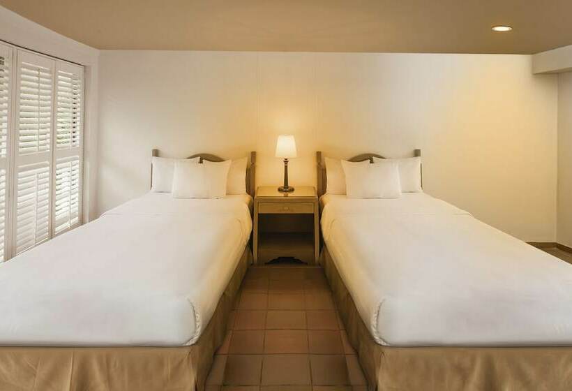 اتاق استاندارد, Decameron Aquarium   All Inclusive
