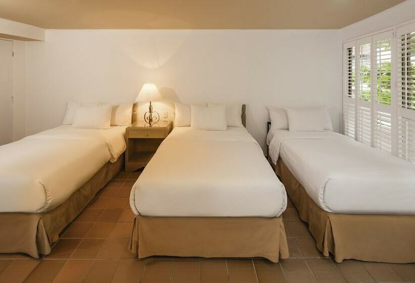 اتاق استاندارد, Decameron Aquarium   All Inclusive