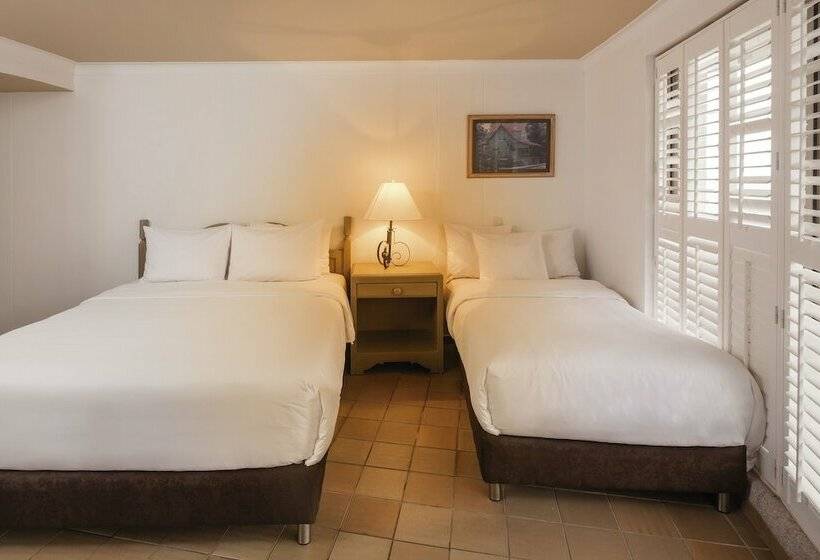 اتاق استاندارد, Decameron Aquarium   All Inclusive