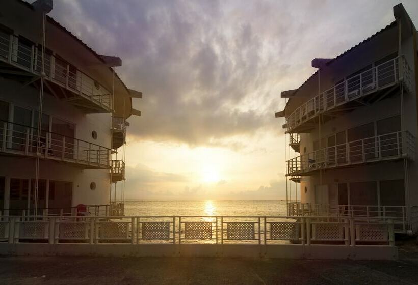 اتاق استاندارد, Decameron Aquarium   All Inclusive