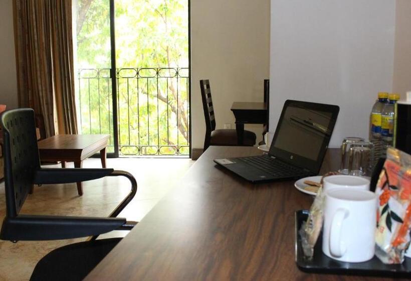 سوئیت با تخت بزرگ, Palmareca Inn Suites Studio