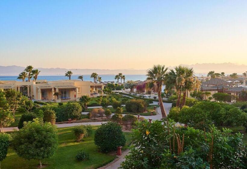 غرفة قياسية, Sheraton Soma Bay Resort