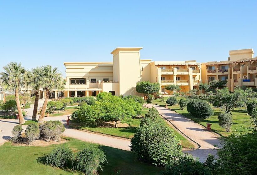 اتاق استاندارد, Sheraton Soma Bay Resort