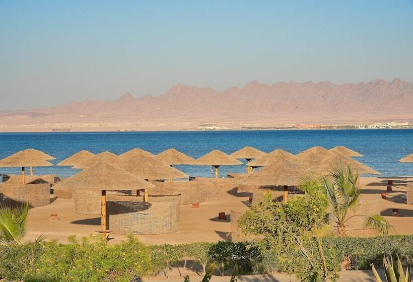 سوئیت سلطنتی 2 خوابه, Sheraton Soma Bay Resort