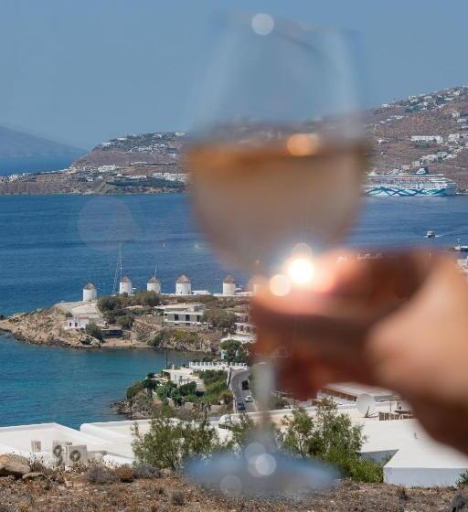اتاق سوپریور با چشم‌انداز دریا, Tharroe Of Mykonos Boutique